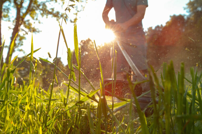 man weed eating grass